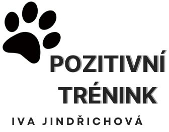 Pozitivní trénink
